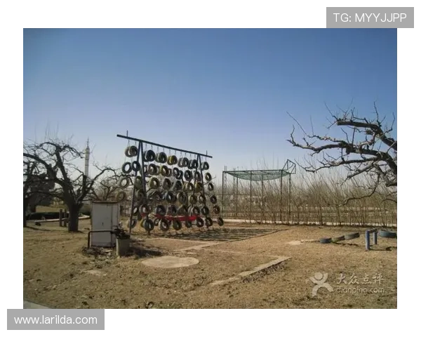 开云真人体育娱乐:专业团队打造的高品质真人体育娱乐体验服务 开云真人体育娱乐:专业团队打造的高品质真人体育娱乐体验服务